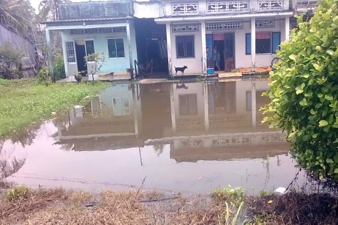 Thông tin từ đường dây nóng